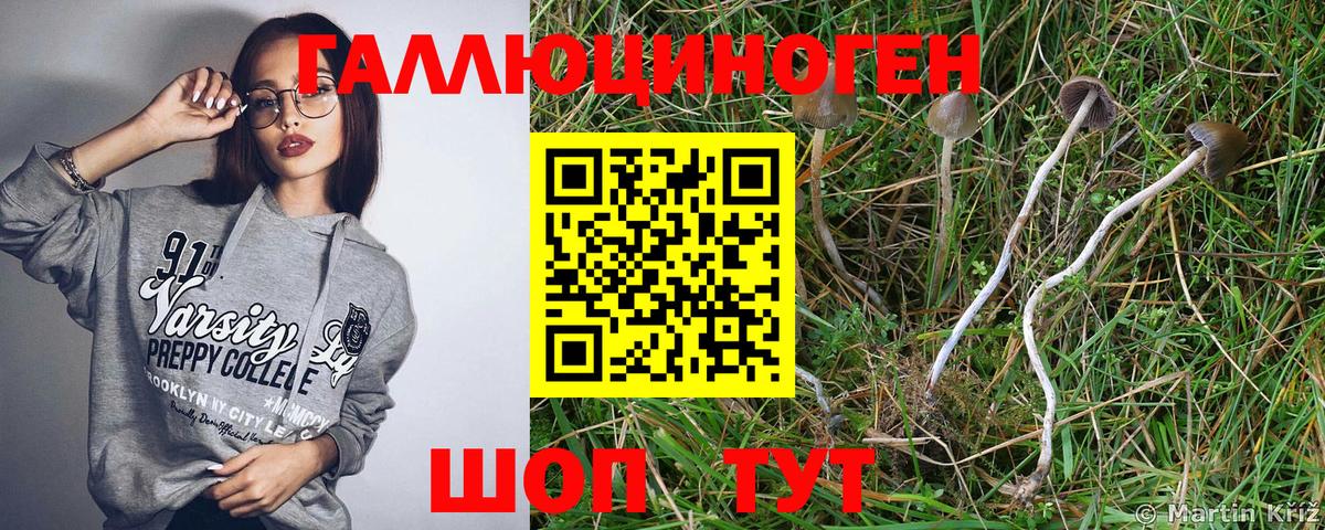 Люберцы  наркота  Вход с VPN  Галлюциногенные грибы ЛСД 