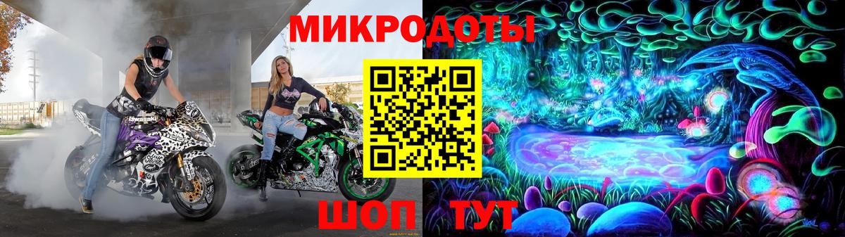 Галлюциногенные грибы Psilocybe Люберцы
